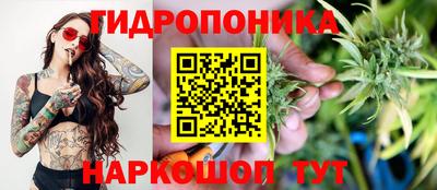 прущий лед Будённовск