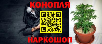 бошки Моздок