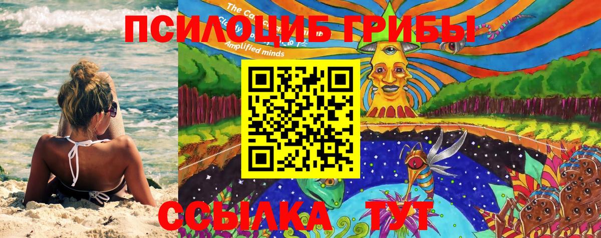 Галлюциногенные грибы Cubensis Вологда