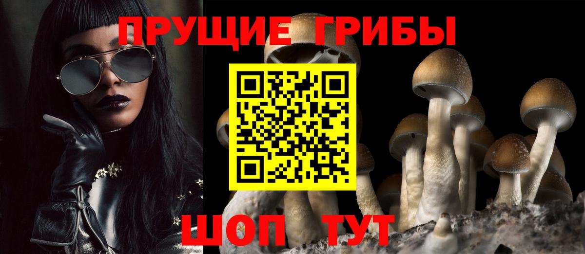 Галлюциногенные грибы GOLDEN TEACHER  Вход с VPN  Вологда  Псилоцибиновые грибы Psilocybine cubensis 